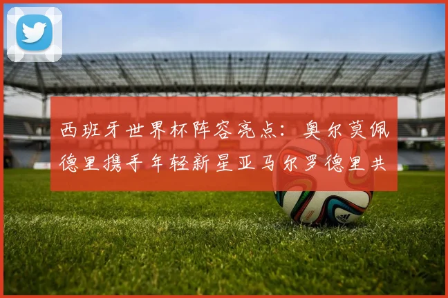 西班牙世界杯阵容亮点：奥尔莫佩德里携手年轻新星亚马尔罗德里共赴荣耀之战