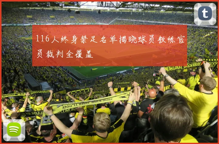 116人终身禁足名单揭晓球员教练官员裁判全覆盖